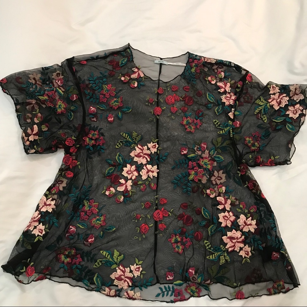 Kimchi Blue Sheer Embroidered Top